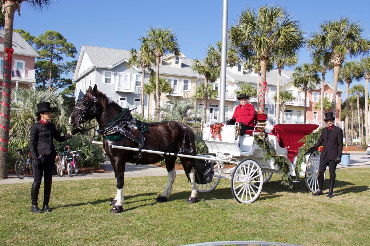 Horse and Carriage at Hope On The Beach Church in Santa Rosa Beach, FL.